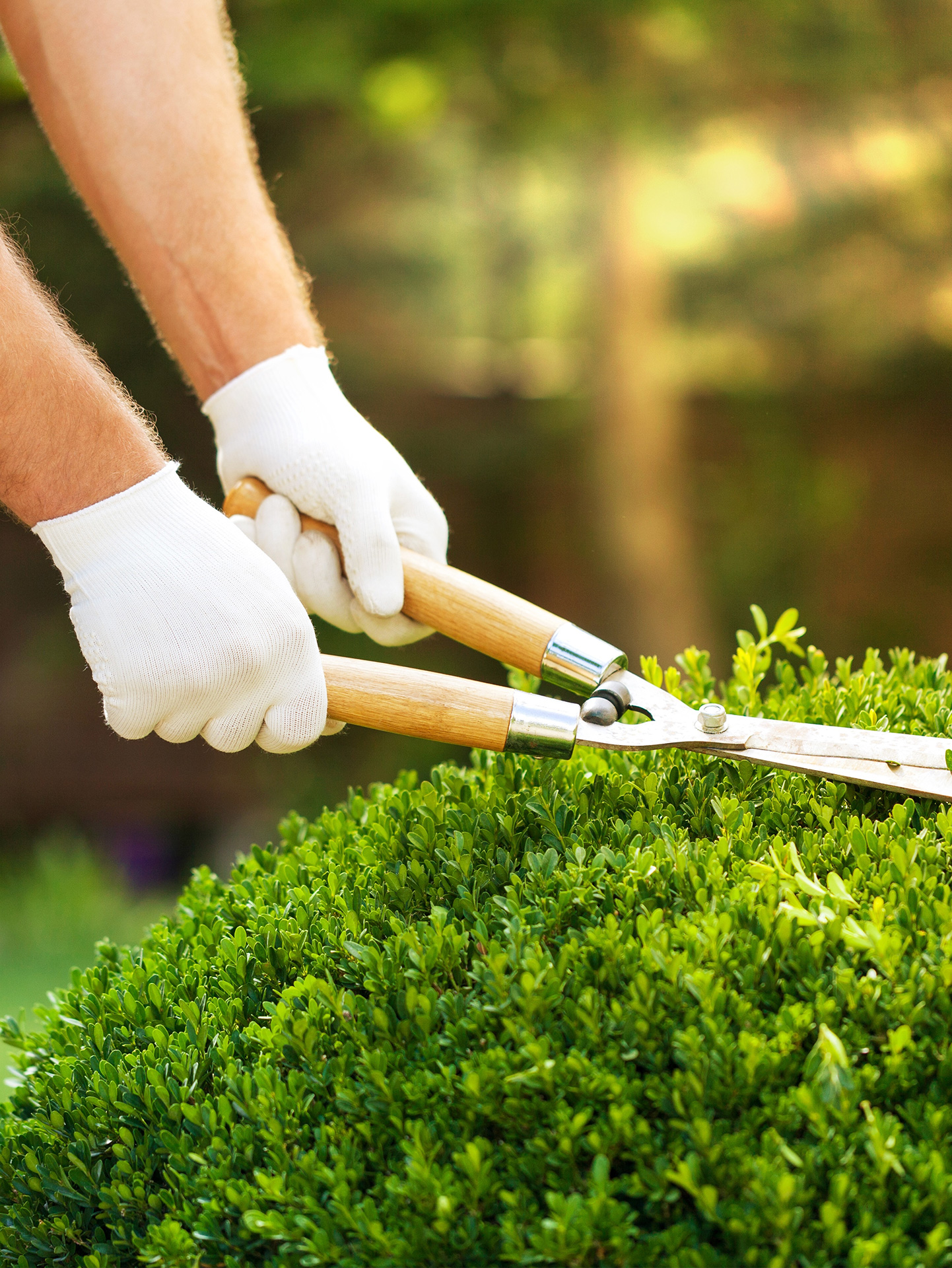Gartenarbeit